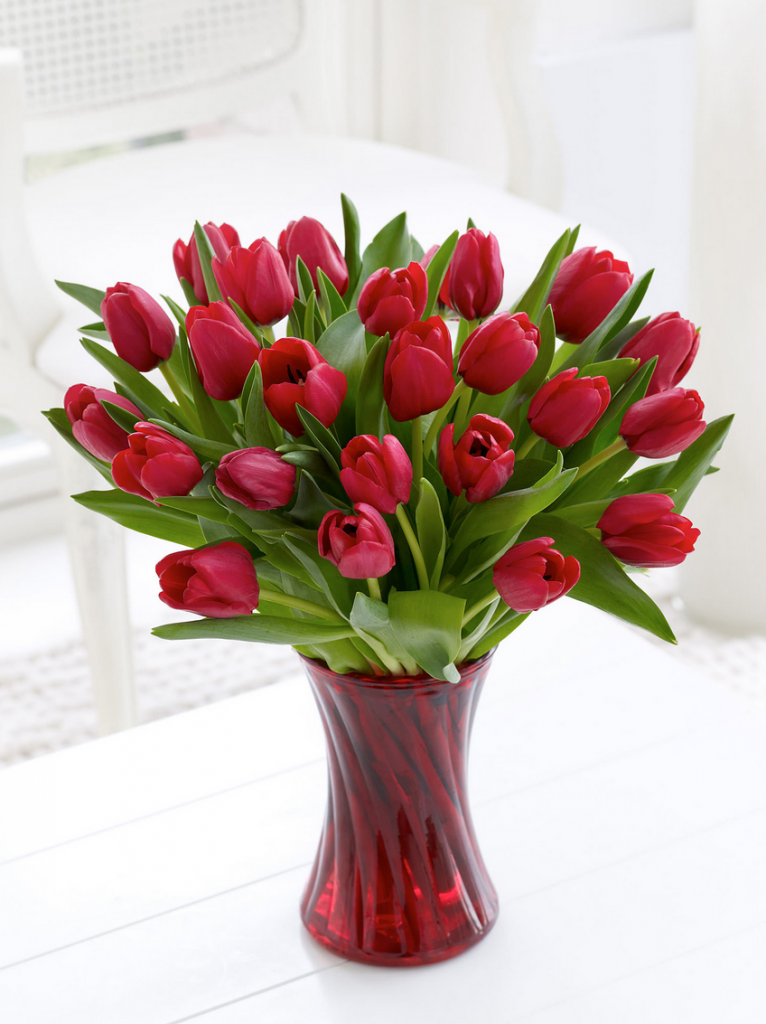 red tulips for valentines