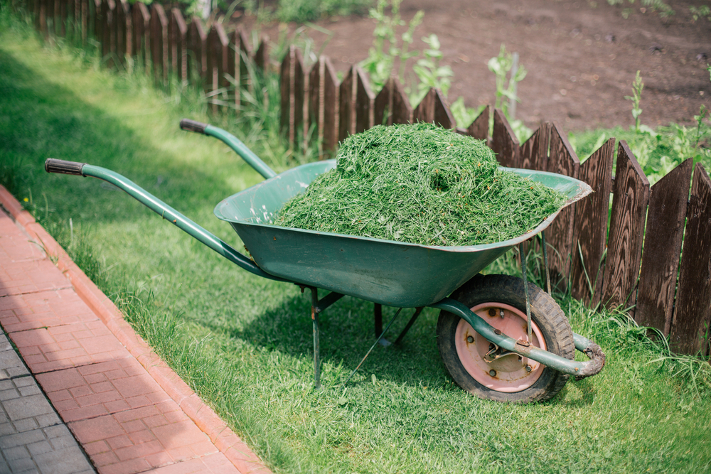 fresh cut grass is an instant win! - Image courtesy of shutterstock