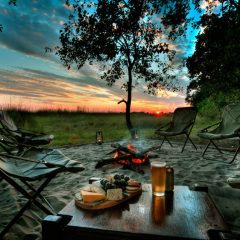 Family Friendly Holidays with a  Twist – A Private Family Adventure in Botswana