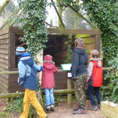 When LittleStuff went to The Hawk Conservancy #GreatDaysOut