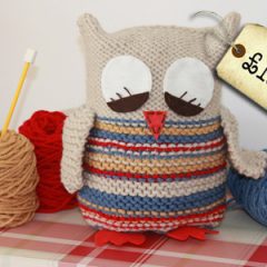 Spotted! Sleepy Owl Learn To Knit Kit – for age 5+. Brilliant!