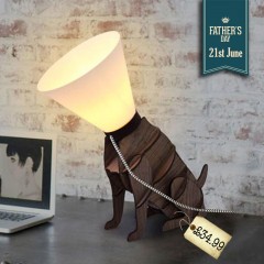 Hilarious. Poorly Dog Cone Lamp! | Fathers Day Gift Ideas