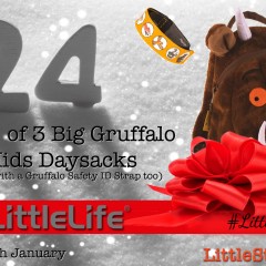 Win 1 of 3 amazing Big Gruffalo Kids Daysacks & ID Straps| #LittleStuff24