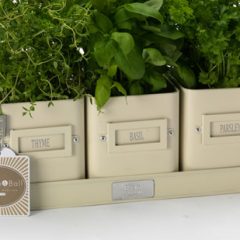 Burgon & Ball Cream Herb Pots #MothersDay