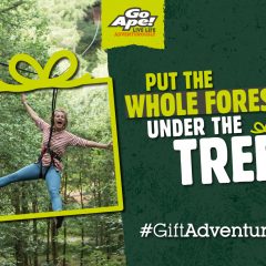 Win a Family Pass for Go Ape’s Tree Top Junior Adventure!  | #LittleStuff24