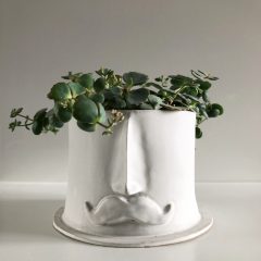 WIN! Beautifully quirky artisan planter from Black Dog Pottery