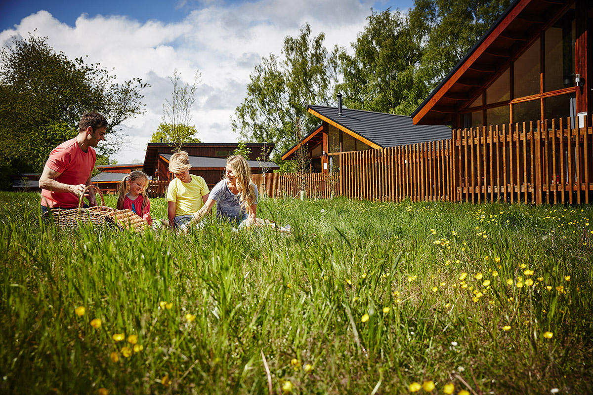 Forest Holidays fancy a last minute tree house break? LittleStuff