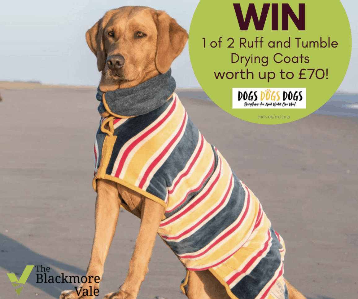 Win 1 of 2 Ruff and Tumble drying coats from DogsDogsDogs worth up to £ ...