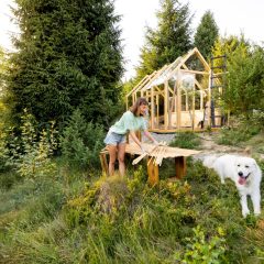 How to Choose the Perfect Wooden Greenhouse for Your Gardening Needs