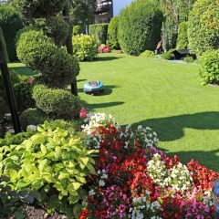 7 Terrific Tips for a Neat and Tidy Back Garden