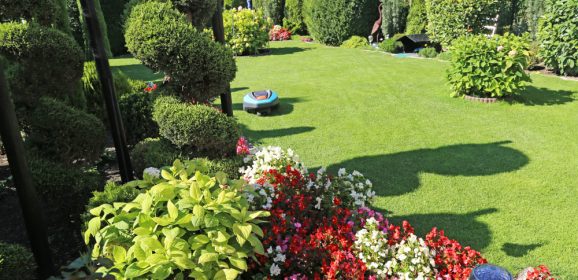 7 Terrific Tips for a Neat and Tidy Back Garden