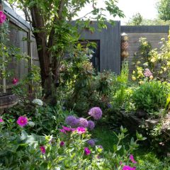 Eco-Friendly Garden Design Tips