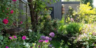 Eco-Friendly Garden Design Tips